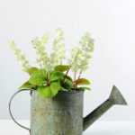 20cm Dentata Lavender Silk Flower  in Metal Watering Can