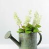 20cm Dentata Lavender Silk Flower  in Metal Watering Can 2 20cm Dentata Lavender Silk Flower  in Metal Watering Can