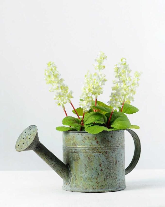20cm Dentata Lavender Silk Flower  in Metal Watering Can 2 20cm Dentata Lavender Silk Flower  in Metal Watering Can