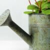 20cm Dentata Lavender Silk Flower  in Metal Watering Can 3 20cm Dentata Lavender Silk Flower  in Metal Watering Can
