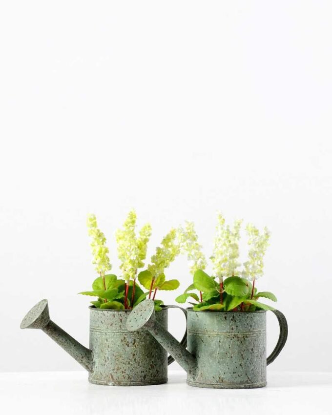20cm Dentata Lavender Silk Flower  in Metal Watering Can 8 20cm Dentata Lavender Silk Flower  in Metal Watering Can