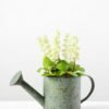 20cm Dentata Lavender Silk Flower  in Metal Watering Can 9 20cm Dentata Lavender Silk Flower  in Metal Watering Can