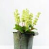 19cm Lavender Silk Flower  in Metal Pot