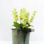 19cm Lavender Silk Flower  in Metal Pot