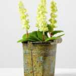 5 Heads Lavender Silk Flower  in Metal Pot