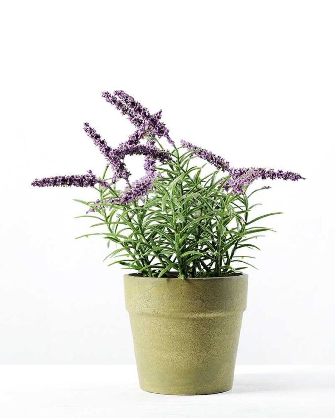 26cm Lavender Silk Flower  in Paper Pulp pot