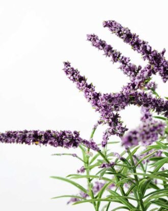 26cm Lavender Silk Flower in Paper Pulp pot Potted Flowers&Plants YeahFlower is one of Chinese leading OEM manufacturers and exporters , supplying the silk flowers, wholesale artificial trees 26cm Lavender Silk Flower in Paper Pulp pot