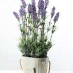 48cm Lavender Silk Flower  in Wooden Planter