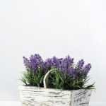 15cm Lavender Silk Flower  in Wood Planter