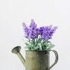 20cm Pterostoechas Lavender Silk Flower  in Metal Watering Can 1 20cm Pterostoechas Lavender Silk Flower  in Metal Watering Can