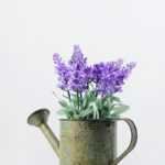20cm Pterostoechas Lavender Silk Flower  in Metal Watering Can