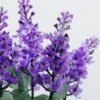 20cm Pterostoechas Lavender Silk Flower  in Metal Watering Can 2 20cm Pterostoechas Lavender Silk Flower  in Metal Watering Can
