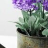 20cm Pterostoechas Lavender Silk Flower  in Metal Watering Can 4 20cm Pterostoechas Lavender Silk Flower  in Metal Watering Can