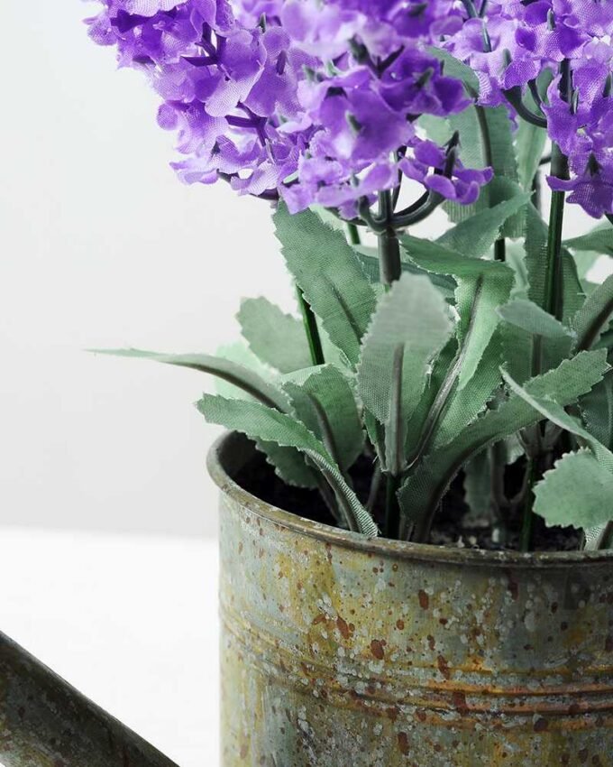 20cm Pterostoechas Lavender Silk Flower  in Metal Watering Can 4 20cm Pterostoechas Lavender Silk Flower  in Metal Watering Can