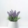 7 Heads Reality  Lavender Silk Flower  in Ceramic pot 1 7 Heads Reality  Lavender Silk Flower  in Ceramic pot