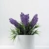 15cm Lavender Silk Flower  in Ceramic pot 1 15cm Lavender Silk Flower  in Ceramic pot
