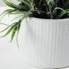 15cm Lavender Silk Flower  in Ceramic pot 4 15cm Lavender Silk Flower  in Ceramic pot