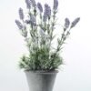 47cm Lavender Silk Flower  in Paper Pulp pot 1 47cm Lavender Silk Flower  in Paper Pulp pot