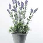 47cm Lavender Silk Flower  in Paper Pulp pot