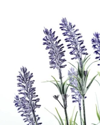 47cm Lavender Silk Flower  in Paper Pulp pot Potted Flowers&Plants YeahFlower is one of Chinese leading OEM manufacturers and exporters , supplying the silk flowers, wholesale artificial trees 47cm Lavender Silk Flower  in Paper Pulp pot