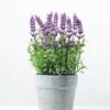 18 Heads Lavender Silk Flower  in Paper Pulp pot 1 18 Heads Lavender Silk Flower  in Paper Pulp pot
