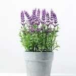 18 Heads Lavender Silk Flower  in Paper Pulp pot