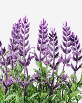 18 Heads Lavender Silk Flower  in Paper Pulp pot Potted Flowers&Plants YeahFlower is one of Chinese leading OEM manufacturers and exporters , supplying the silk flowers, wholesale artificial trees 18 Heads Lavender Silk Flower  in Paper Pulp pot