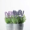 18 Heads Lavender Silk Flower  in Paper Pulp pot 5 18 Heads Lavender Silk Flower  in Paper Pulp pot