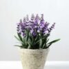 14 Heads Creative Displays Lavender Silk Flower  in Paper Pulp pot