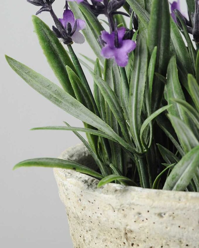 14 Heads Creative Displays Lavender Silk Flower  in Paper Pulp pot