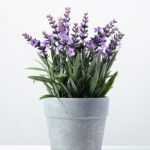 14 Heads Reality Lavender Silk Flower  in Paper Pulp pot