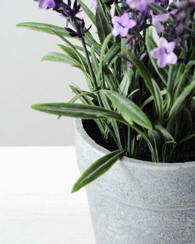 14 Heads Reality Lavender Silk Flower  in Paper Pulp pot