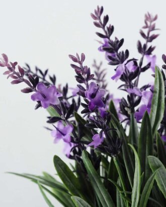 5 Heads Lavender Silk Flower in Paper Pulp pot Potted Flowers&Plants YeahFlower is one of Chinese leading OEM manufacturers and exporters , supplying the silk flowers, wholesale artificial trees 5 Heads Lavender Silk Flower in Paper Pulp pot