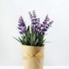 20cm Lavender Silk Flower  in Paper wrap pot