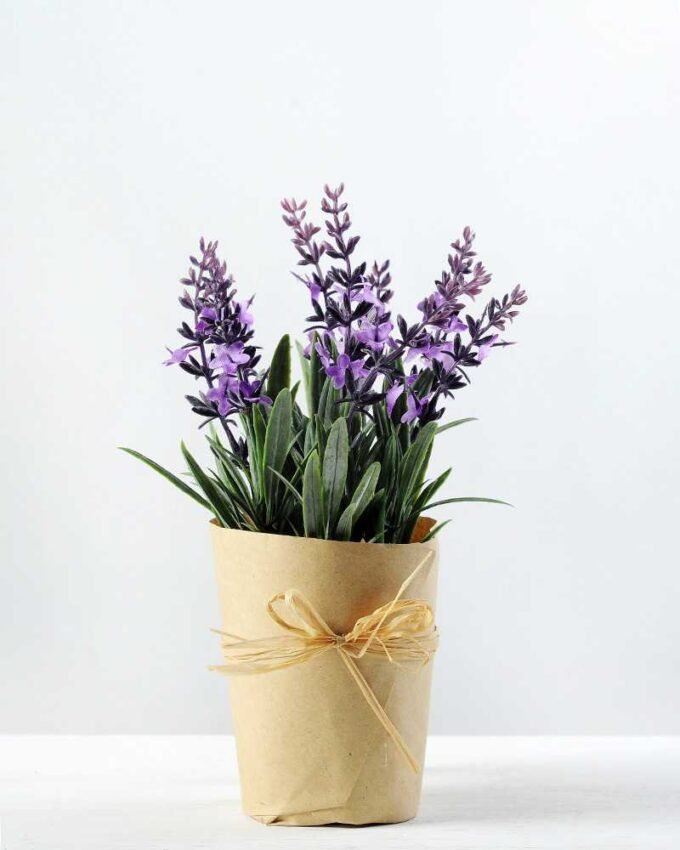 20cm Lavender Silk Flower  in Paper wrap pot