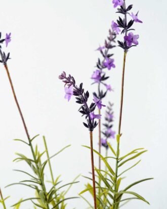 58cm Lavender Silk Flower  in Paper Pulp pot