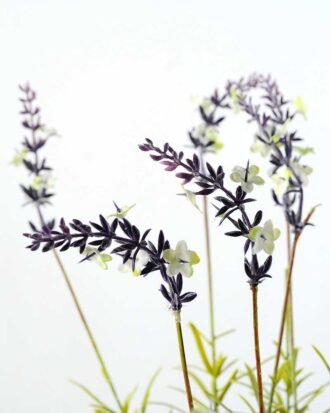 54cm Lavender Silk Flower  in Paper Pulp pot