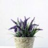 20cm Lavender Silk Flower  in Cement Pot