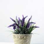 20cm Lavender Silk Flower  in Cement Pot