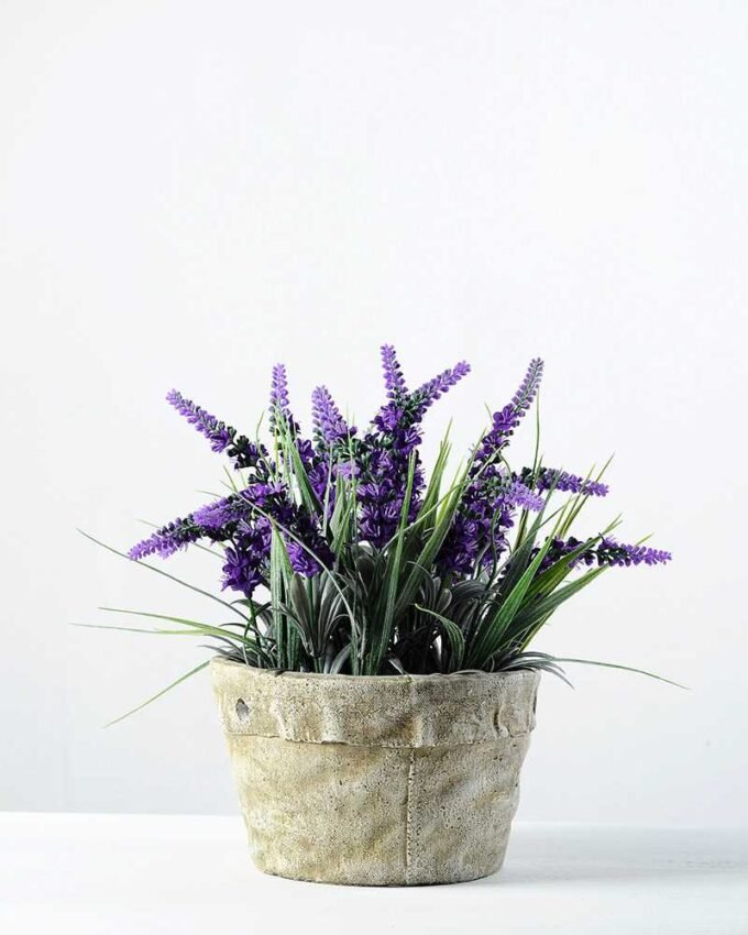 20cm Lavender Silk Flower  in Cement Pot