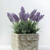 50cm Lavender Silk Flower  in Cement Pot