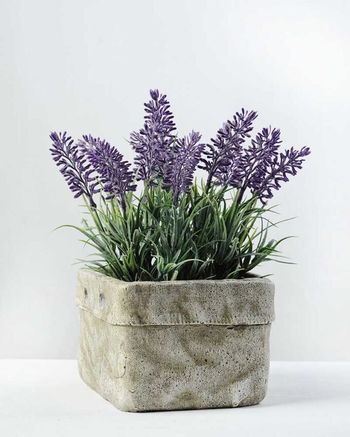 50cm Lavender Silk Flower  in Cement Pot