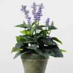 98cm Lavender Silk Flower  in Paper Pulp pot