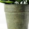 25cm Lavender Silk Flower  in Paper Pulp pot