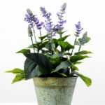 34cm Lavender Silk Flower  in Metal Pot