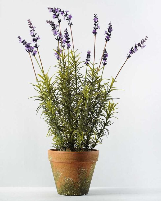 14 Heads Lavender Silk Flower  in Paper Pulp pot