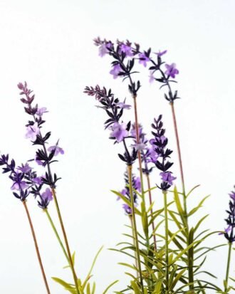 14 Heads Lavender Silk Flower  in Paper Pulp pot Potted Flowers&Plants YeahFlower is one of Chinese leading OEM manufacturers and exporters , supplying the silk flowers, wholesale artificial trees 14 Heads Lavender Silk Flower  in Paper Pulp pot