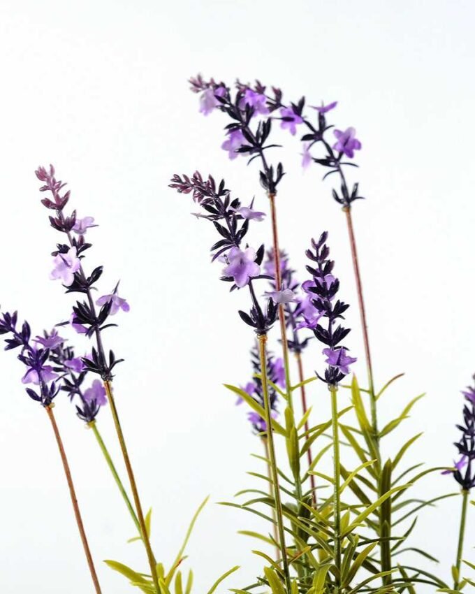 14 Heads Lavender Silk Flower  in Paper Pulp pot