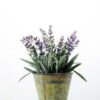 13 Heads Lavender Silk Flower  in Metal Pot