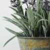 13 Heads Lavender Silk Flower  in Metal Pot